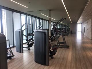 Modern gym with large windows and various workout equipment