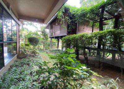 House for rent in Green Valley Golf Course , Mae Rim area