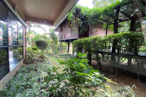 House for rent in Green Valley Golf Course , Mae Rim area