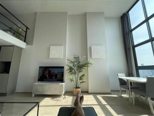 For Sale with Tenant Condominium Ideo Rama 9 - Asoke  32.5 sq.m,  bedroom Hybrid/Loft