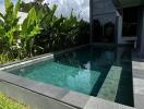 Outdoor swimming pool with surrounding greenery