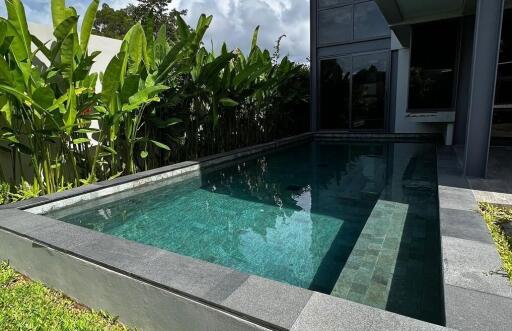 Outdoor swimming pool with surrounding greenery