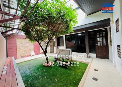 Outdoor patio area with greenery and seating