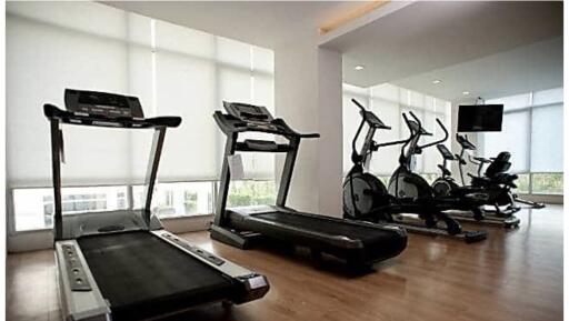 Home gym with treadmills and elliptical machines