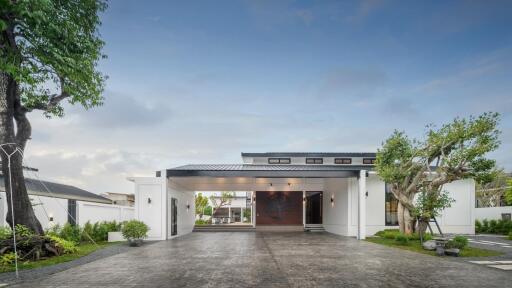 Modern house exterior with driveway and greenery