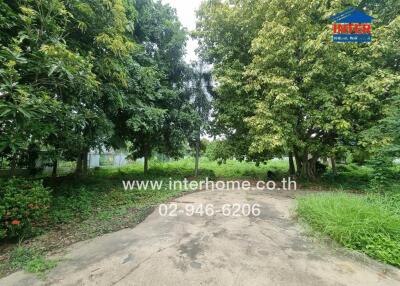 Spacious green outdoor area with trees