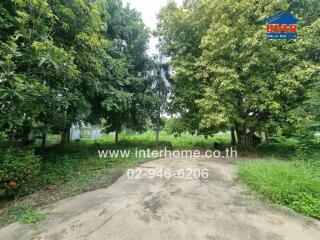 Spacious green outdoor area with trees