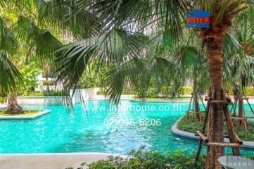 Swimming pool surrounded by palm trees