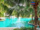 Swimming pool surrounded by palm trees