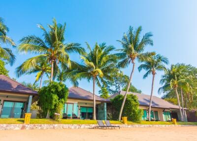 Beachfront houses with palm trees