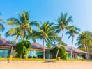 Beachfront houses with palm trees