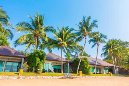 Beachfront houses with palm trees