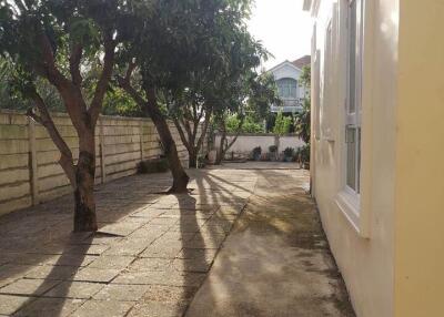 A well-lit paved side yard with trees