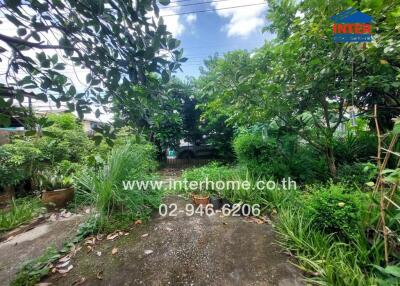 Lush garden view with concrete pathway