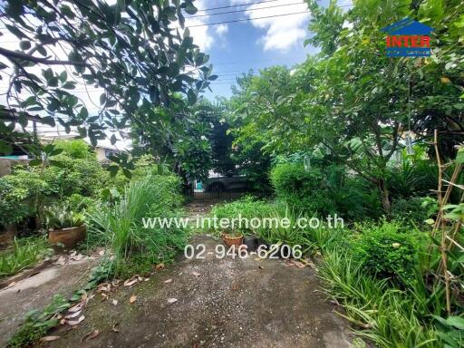 Lush garden view with concrete pathway