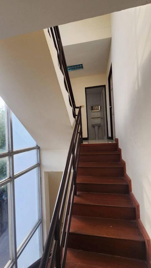 Indoor staircase with wooden steps