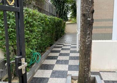 Outdoor pathway with checkered tiles, a decorative tree, and greenery