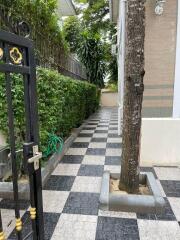 Outdoor pathway with checkered tiles, a decorative tree, and greenery