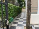 Outdoor pathway with checkered tiles, a decorative tree, and greenery