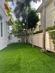 Well-maintained backyard with artificial grass and trees