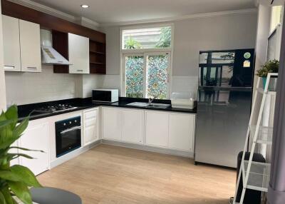 Modern kitchen with appliances