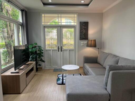 Modern living room with a grey sectional sofa and large window