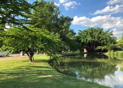 A serene, green outdoor area with a small pond and lush trees.