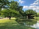 A serene, green outdoor area with a small pond and lush trees.