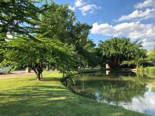 A serene, green outdoor area with a small pond and lush trees.