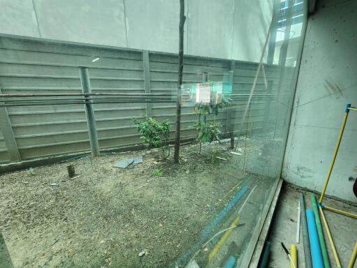 Window view of backyard under construction