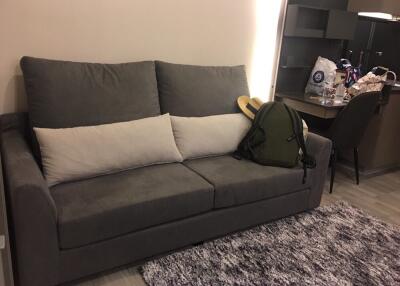 Cozy living space with grey sofa and workspace