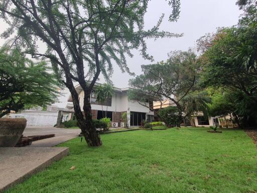 Exterior view of a modern house with a green lawn and trees