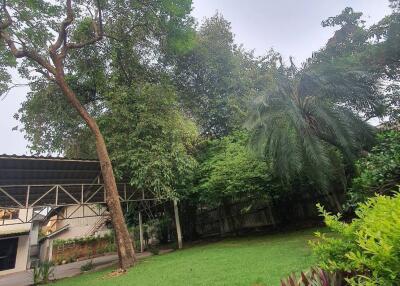 Beautiful garden with lush greenery