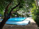 Swimming pool with surrounding greenery