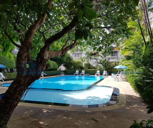 Swimming pool with surrounding greenery