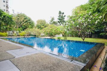 Outdoor pool and garden area