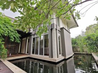 Modern house with large windows overlooking a koi pond