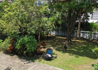 Spacious backyard with lush greenery