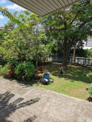 Spacious backyard with lush greenery