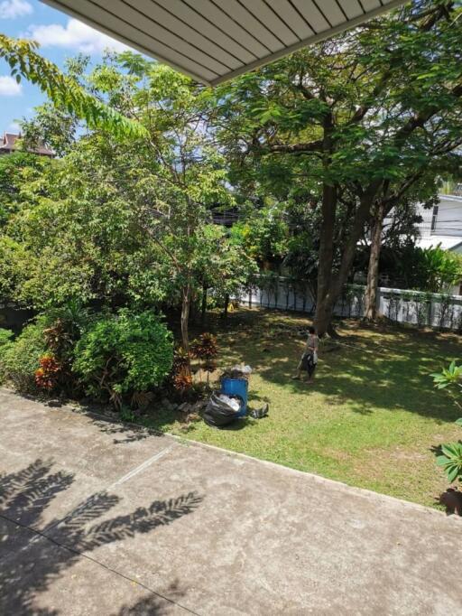 Spacious backyard with lush greenery