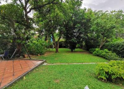 Lush green garden with trees and grass