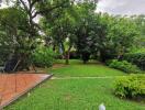 Lush green garden with trees and grass