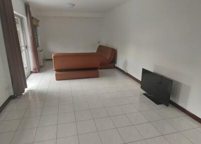 Living room with sofa and television