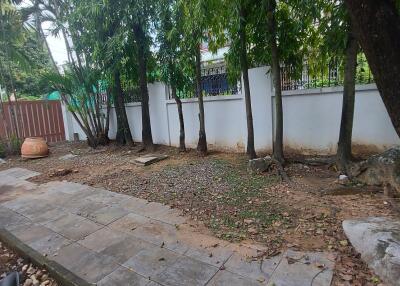 Backyard with trees and paved walkway