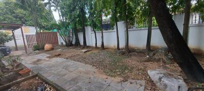 Backyard with trees and paved walkway