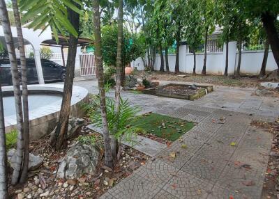 Spacious backyard with pool, greenery, and a sitting area