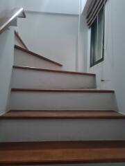 Interior staircase with wooden steps and railing