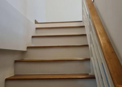 Staircase with wooden steps and white walls