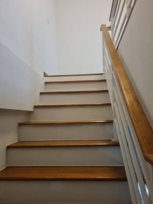 Staircase with wooden steps and white walls