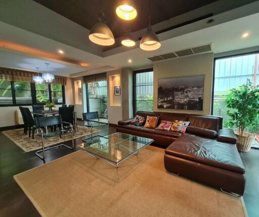 Modern living room with leather sofa and glass coffee table